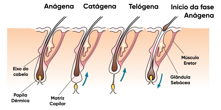 Minoxidil Plus funciona mesmo